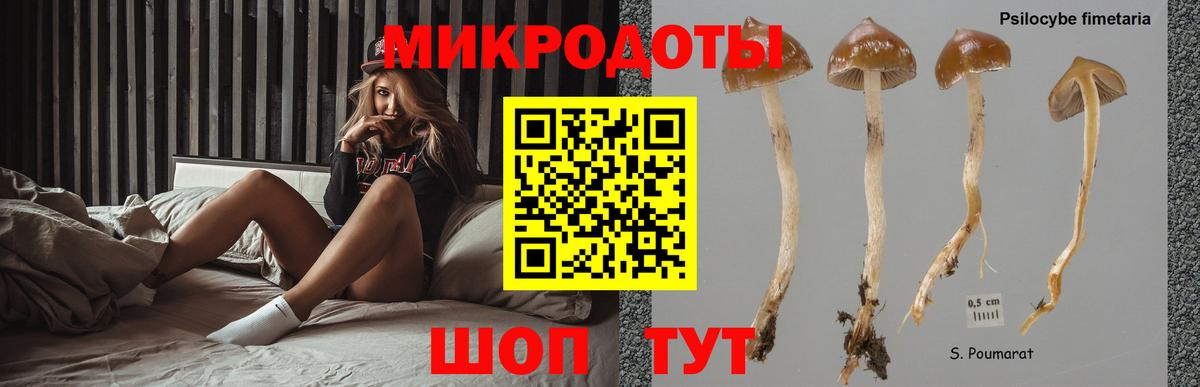 Псилоцибиновые грибы прущие грибы  как найти закладки  Саранск  Вход с VPN 